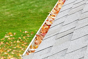 Fall Home Maintenance